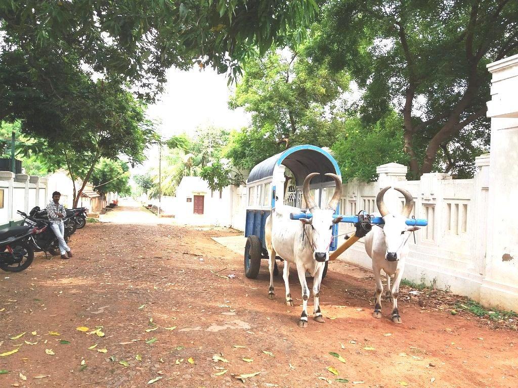 Chettinadu Mansion - An Authentic Heritage Palace Kānādukāttān Esterno foto